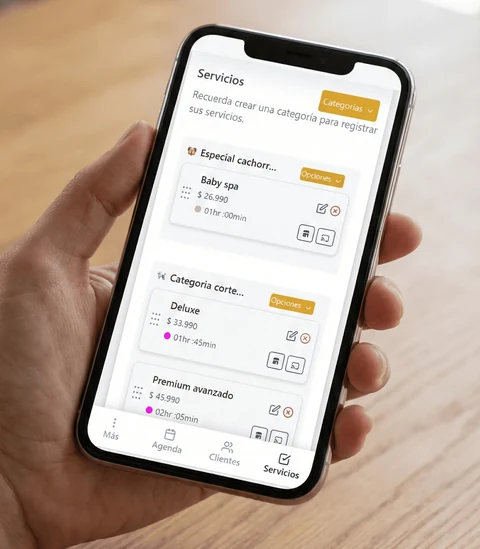 Configura servicios